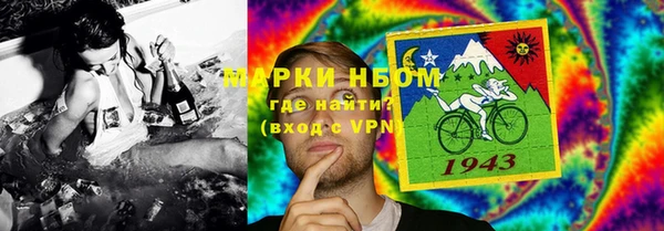дмт Алзамай